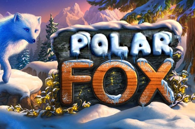 Polar Fox